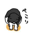 猫カツヲです（個別スタンプ：37）