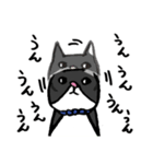 猫カツヲです（個別スタンプ：38）