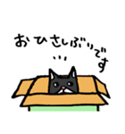 猫カツヲです（個別スタンプ：39）