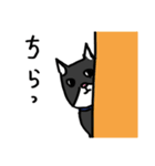 猫カツヲです（個別スタンプ：40）