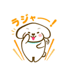 おっさんがつくったトイプードルのスタンプ（個別スタンプ：12）