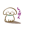 おっさんがつくったトイプードルのスタンプ（個別スタンプ：26）