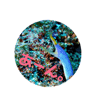 海Photo 水玉ver.（個別スタンプ：8）