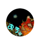 海Photo 水玉ver.（個別スタンプ：11）