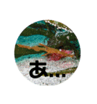 海Photo 水玉ver.（個別スタンプ：12）