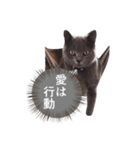 ゆる猫セレブ シャルトリュー（個別スタンプ：1）