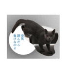 ゆる猫セレブ シャルトリュー（個別スタンプ：4）