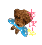 今日もダイキチ！！！！（個別スタンプ：2）