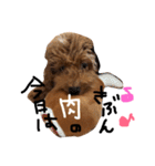 今日もダイキチ！！！！（個別スタンプ：5）