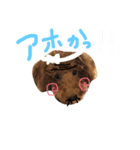 今日もダイキチ！！！！（個別スタンプ：18）