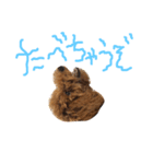 今日もダイキチ！！！！（個別スタンプ：20）