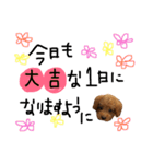 今日もダイキチ！！！！（個別スタンプ：32）