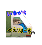 はりねずみ「梅」と『パイ』（個別スタンプ：2）