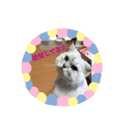 みつもも動物病院（個別スタンプ：3）