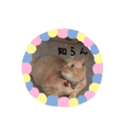 みつもも動物病院（個別スタンプ：8）