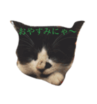 ぴのちゃんです（個別スタンプ：1）