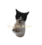 ぴのちゃんです（個別スタンプ：9）