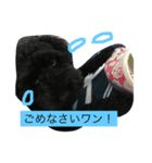 となりのカイくん（個別スタンプ：3）