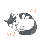 ねそべり猫（個別スタンプ：1）