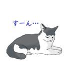 ねそべり猫（個別スタンプ：2）