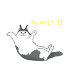 ねそべり猫（個別スタンプ：3）