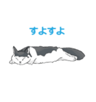 ねそべり猫（個別スタンプ：5）