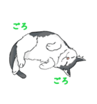 ねそべり猫（個別スタンプ：6）