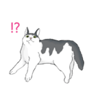 ねそべり猫（個別スタンプ：7）