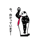 紳士なパンダ（個別スタンプ：13）