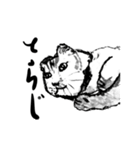 そうなんだ君とすごいねちゃん2（個別スタンプ：40）