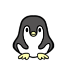 ペンちゃんs（個別スタンプ：1）
