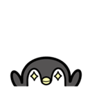 ペンちゃんs（個別スタンプ：19）