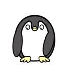 ペンちゃんs（個別スタンプ：27）