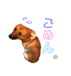 moccha（個別スタンプ：5）