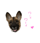 moccha（個別スタンプ：16）