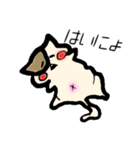 オバケにゃんこ（個別スタンプ：1）
