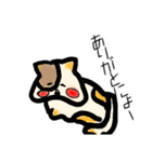 オバケにゃんこ（個別スタンプ：31）