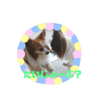 ピコリラ日常スタンプ（個別スタンプ：5）
