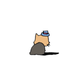 帽子猫（個別スタンプ：4）