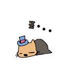 帽子猫（個別スタンプ：5）