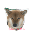 琥珀ーーーーっ（個別スタンプ：2）