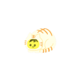 cat 猫 ねこ ネコ（個別スタンプ：1）