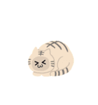 cat 猫 ねこ ネコ（個別スタンプ：5）