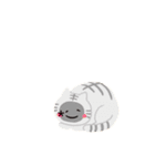 cat 猫 ねこ ネコ（個別スタンプ：7）