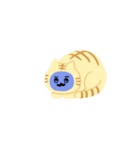 cat 猫 ねこ ネコ（個別スタンプ：8）