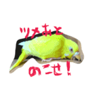 たくあんスタンプ①（個別スタンプ：9）