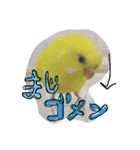 たくあんスタンプ①（個別スタンプ：12）