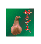 〜ハトの告白〜（個別スタンプ：5）