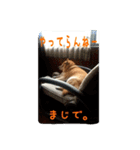 柴犬ぶぅ。。（個別スタンプ：13）