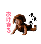蓮くん鈴ちゃん（個別スタンプ：3）